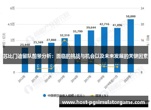 苏比门迪留队前景分析：面临的挑战与机会以及未来发展的关键因素