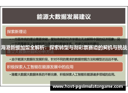 海港新援加盟全解析：探索转型与刮彩票赛道的契机与挑战