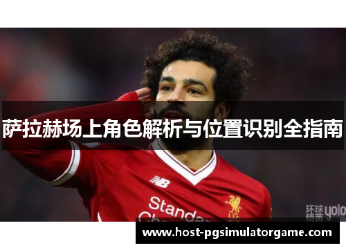萨拉赫场上角色解析与位置识别全指南
