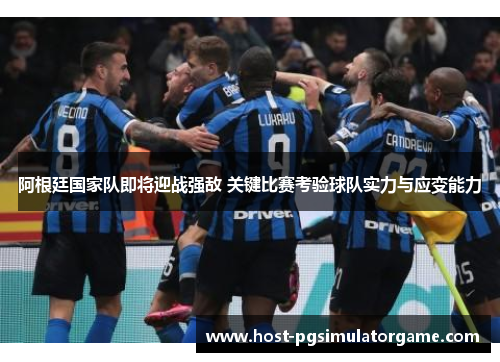 阿根廷国家队即将迎战强敌 关键比赛考验球队实力与应变能力