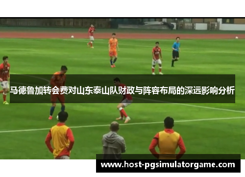 马德鲁加转会费对山东泰山队财政与阵容布局的深远影响分析