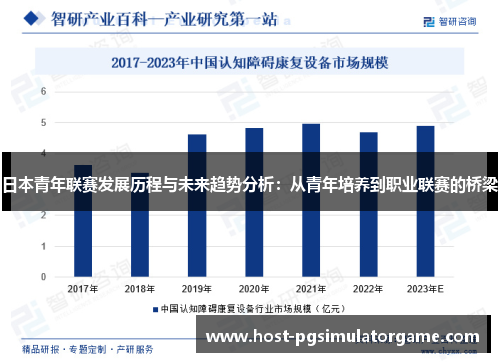 日本青年联赛发展历程与未来趋势分析：从青年培养到职业联赛的桥梁