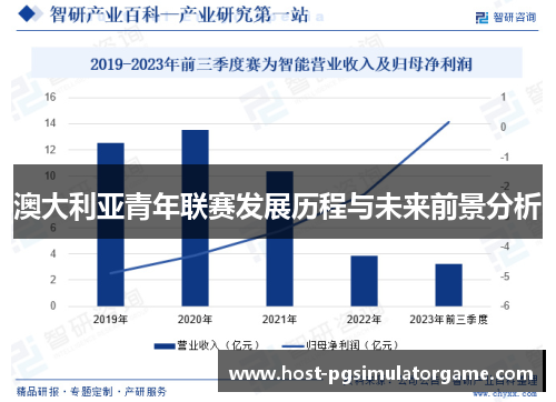 澳大利亚青年联赛发展历程与未来前景分析